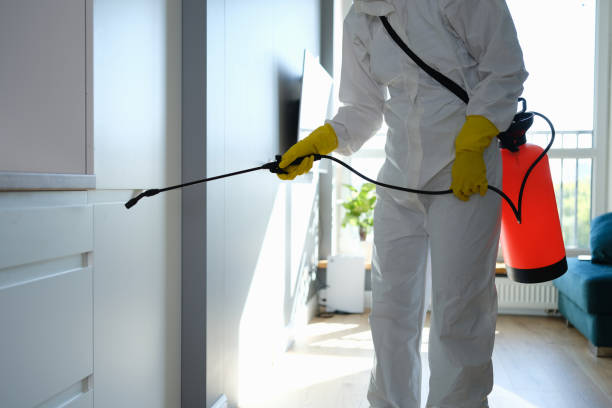 Best Attic Mold Removal  in Union City, TN